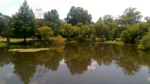 estopark2